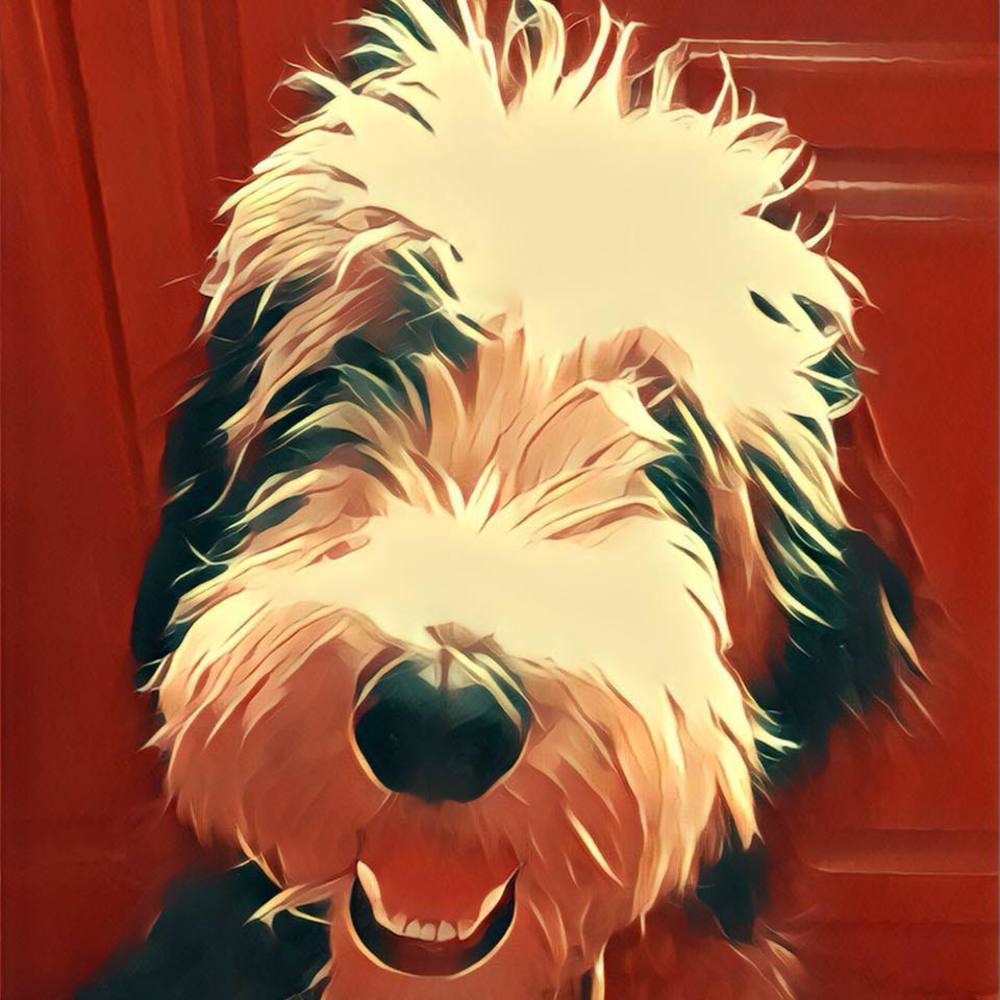 Meet your Posher, Karen